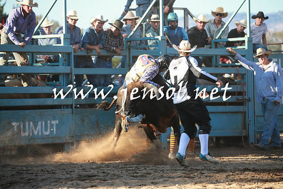 TumutRodeo2016Two_4128