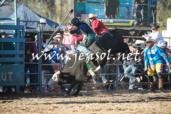 TumutRodeo2016Two_4050