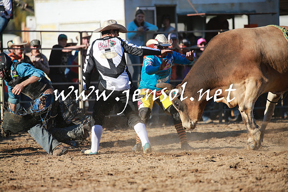TumutRodeo2016Two_4106