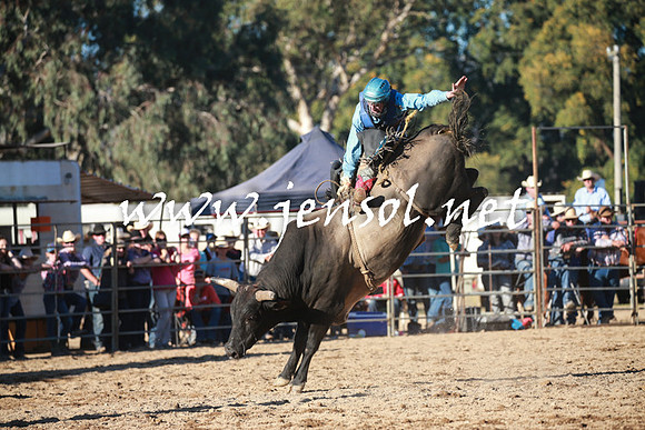 TumutRodeo2016Two_4180