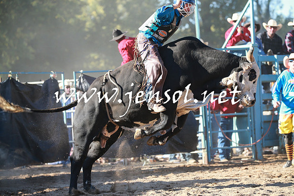 TumutRodeo2016Two_4016