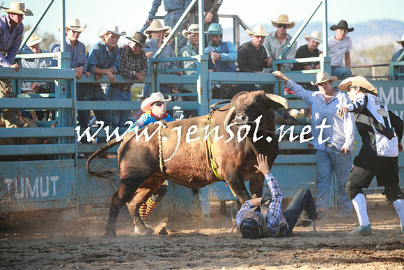 TumutRodeo2016Two_4137