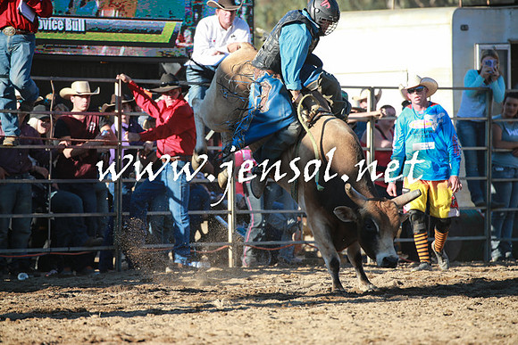 TumutRodeo2016Two_4073