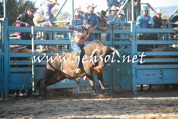TumutRodeo2016Two_4119