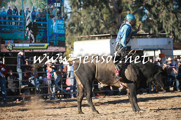 TumutRodeo2016Two_4165