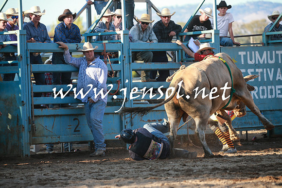 TumutRodeo2016Two_4210