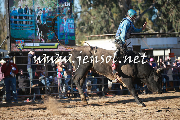 TumutRodeo2016Two_4170
