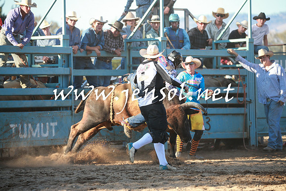 TumutRodeo2016Two_4131