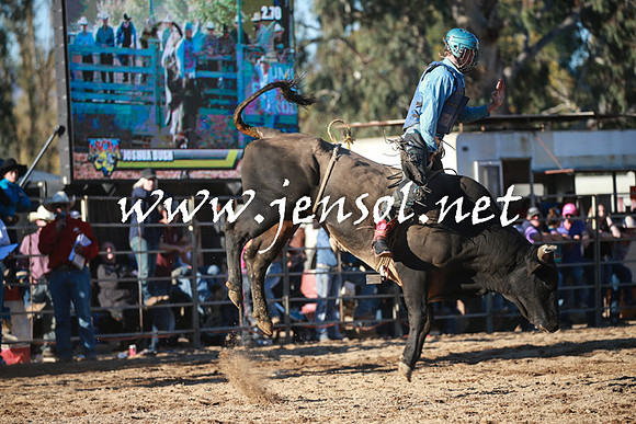 TumutRodeo2016Two_4175