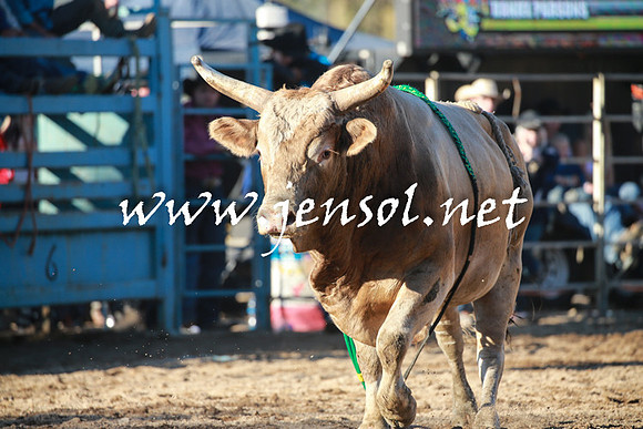 TumutRodeo2016Two_4212