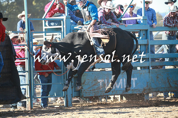 TumutRodeo2016Two_3983