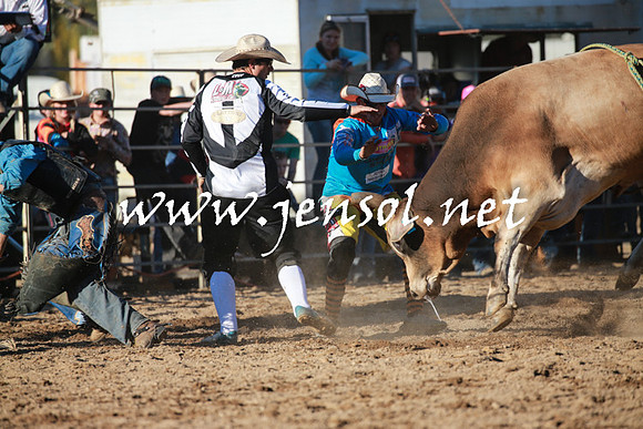 TumutRodeo2016Two_4099