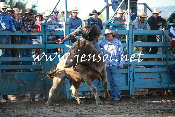 TumutRodeo2016Two_4198