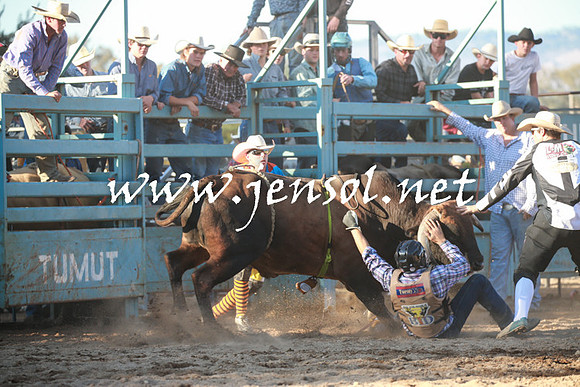 TumutRodeo2016Two_4144