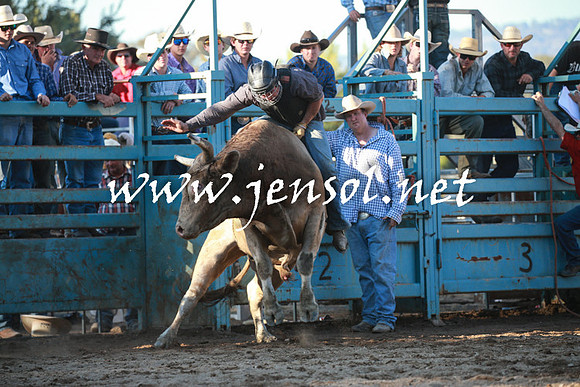 TumutRodeo2016Two_4199