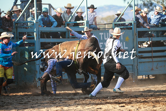 TumutRodeo2016Two_4155