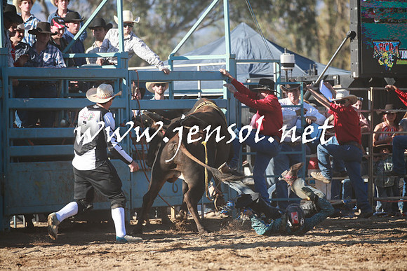 TumutRodeo2016Two_4029