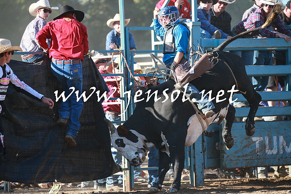 TumutRodeo2016Two_3973
