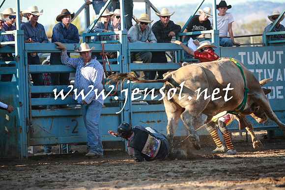 TumutRodeo2016Two_4208