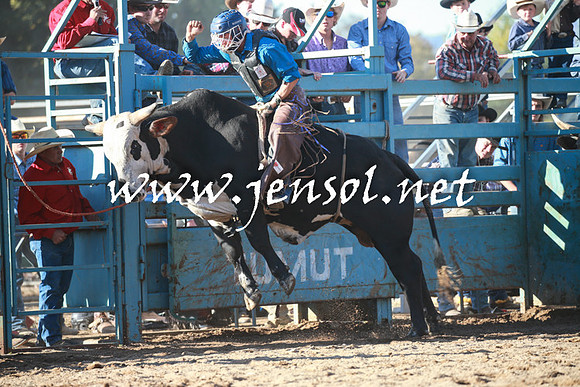 TumutRodeo2016Two_3980