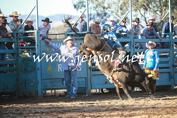TumutRodeo2016Two_4162