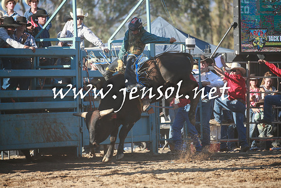 TumutRodeo2016Two_4032