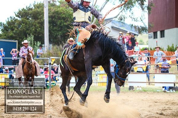 JindabyneRodeo2017_4669