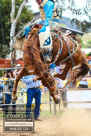 JindabyneRodeo2017_4736