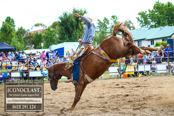 JindabyneRodeo2017_5205