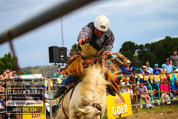 JindabyneRodeo2017_5326