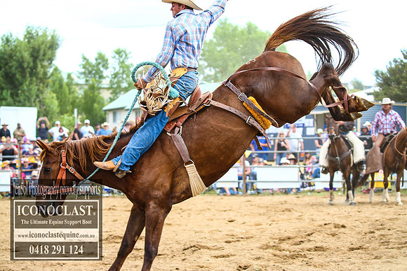 JindabyneRodeo2017_4114