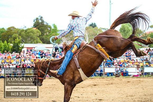 JindabyneRodeo2017_4134