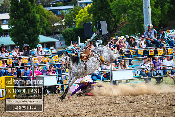 JindabyneRodeo2017_5308