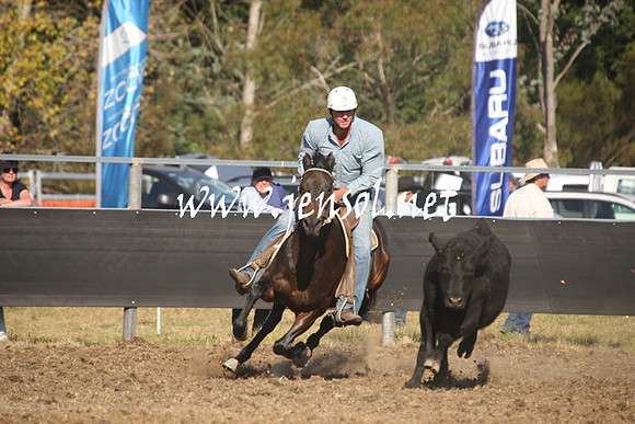 MossValeCampdraft2013_1052