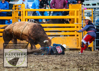 QueanbeyanRodeo2019_5797