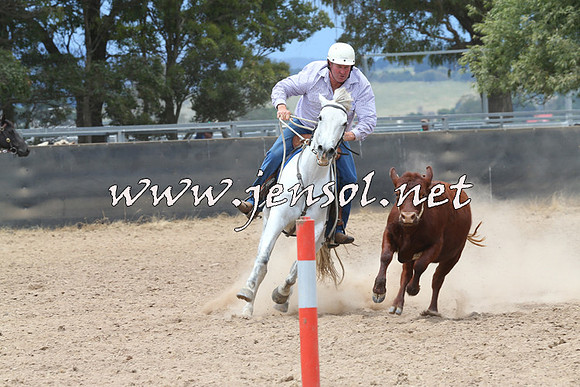 BraidwoodCampdraft2014_2808