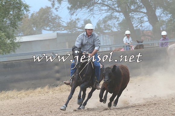 BraidwoodCampdraft2014_2975