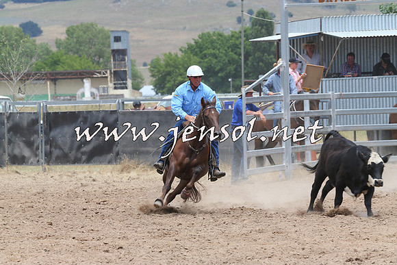 BraidwoodCampdraft2014_2944