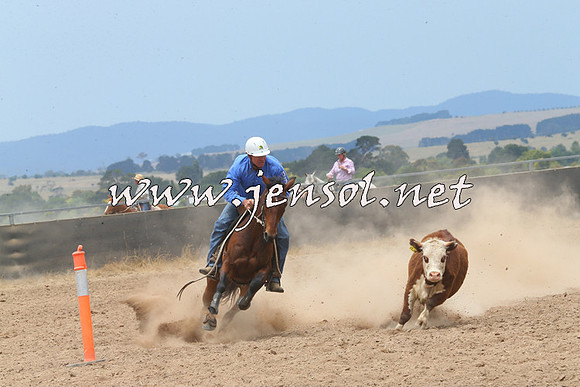 BraidwoodCampdraft2014_2950