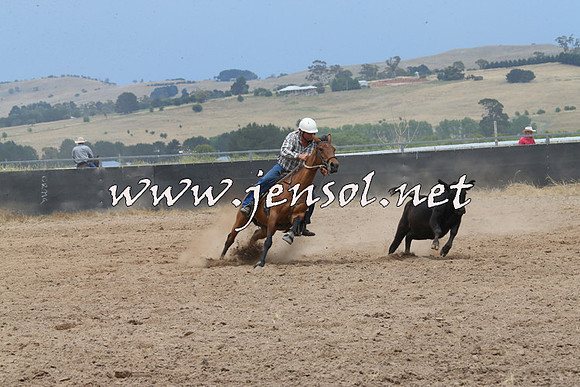 BraidwoodCampdraft2014_2756