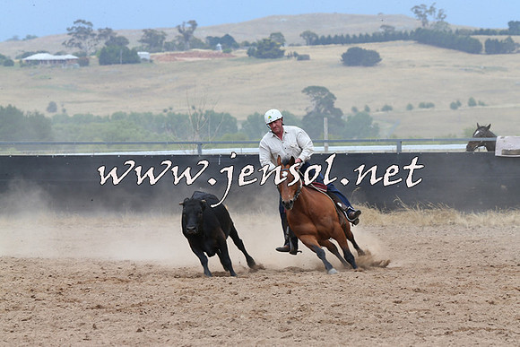 BraidwoodCampdraft2014_2788