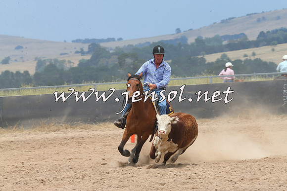 BraidwoodCampdraft2014_2941