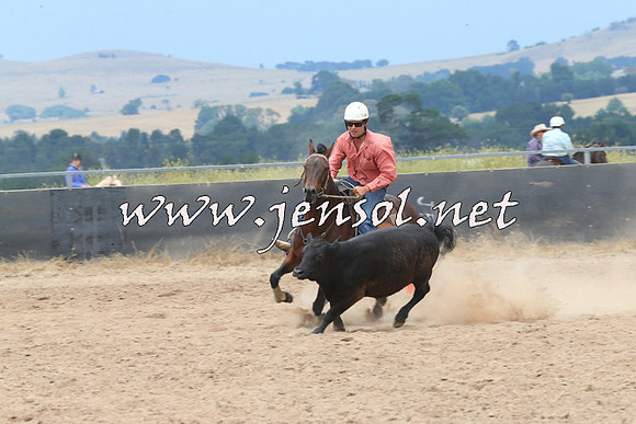 BraidwoodCampdraft2014_2979