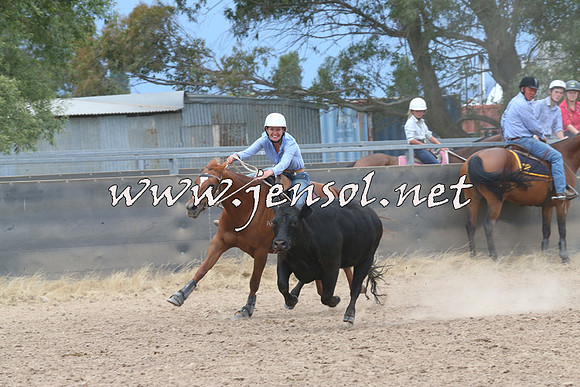 BraidwoodCampdraft2014_2741