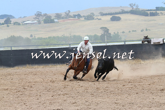 BraidwoodCampdraft2014_2783