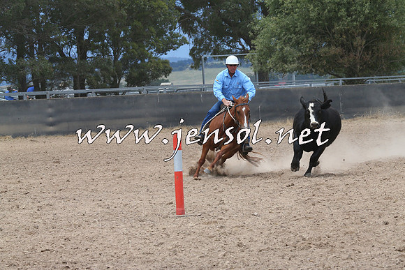 BraidwoodCampdraft2014_2747