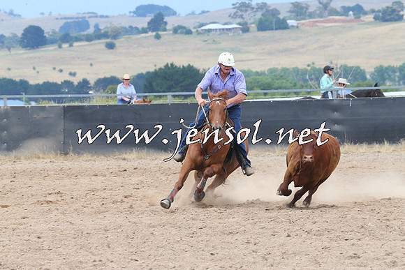 BraidwoodCampdraft2014_3009