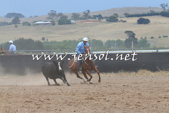 BraidwoodCampdraft2014_2745