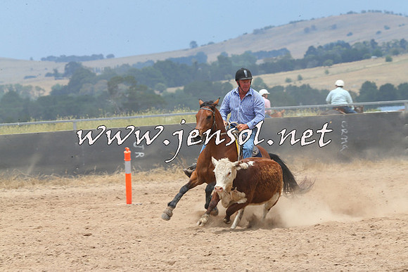 BraidwoodCampdraft2014_2940