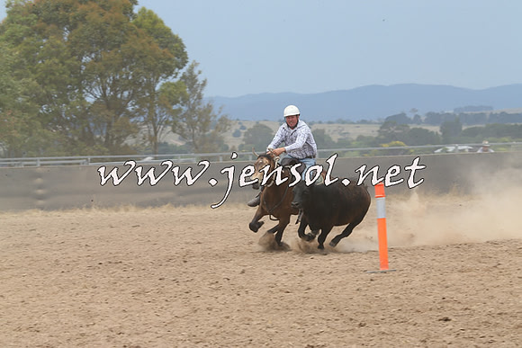 BraidwoodCampdraft2014_3025